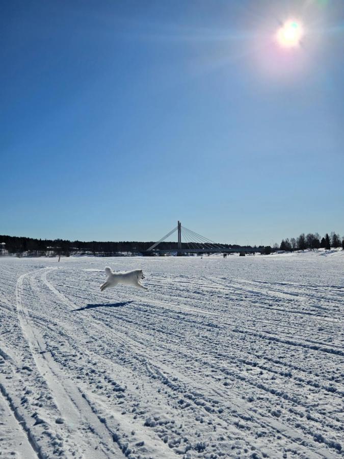 Make Yourself At Home Rovaniemi Esterno foto